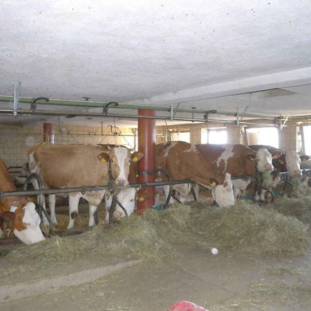 Grosshartberg Apartments In Bruck Am Ziller/Zillertal 857 מראה חיצוני תמונה